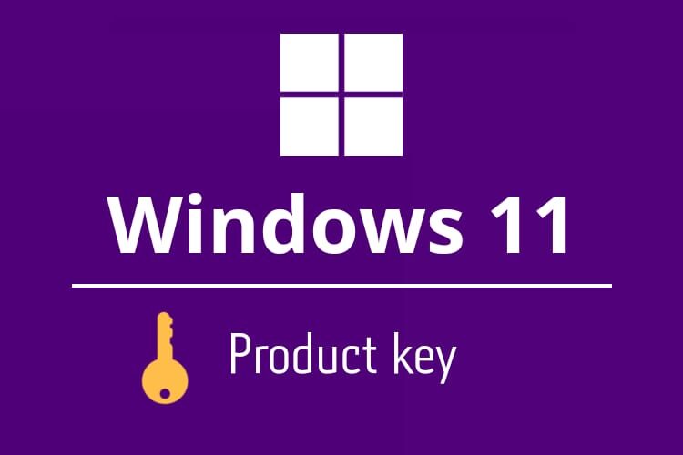 view windows 11 product key