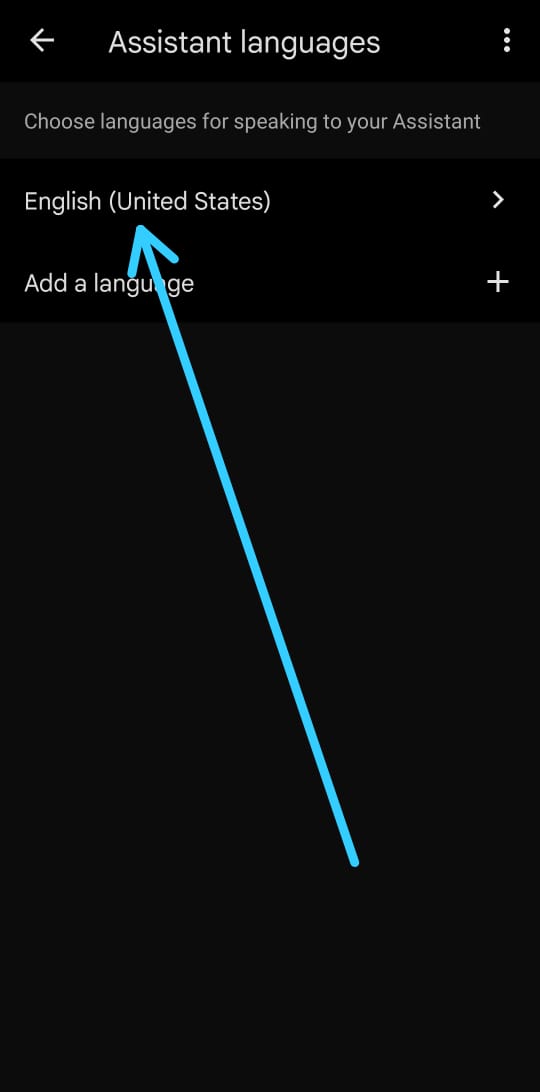 How To Change Google Assistant Language On Android - NixLoop