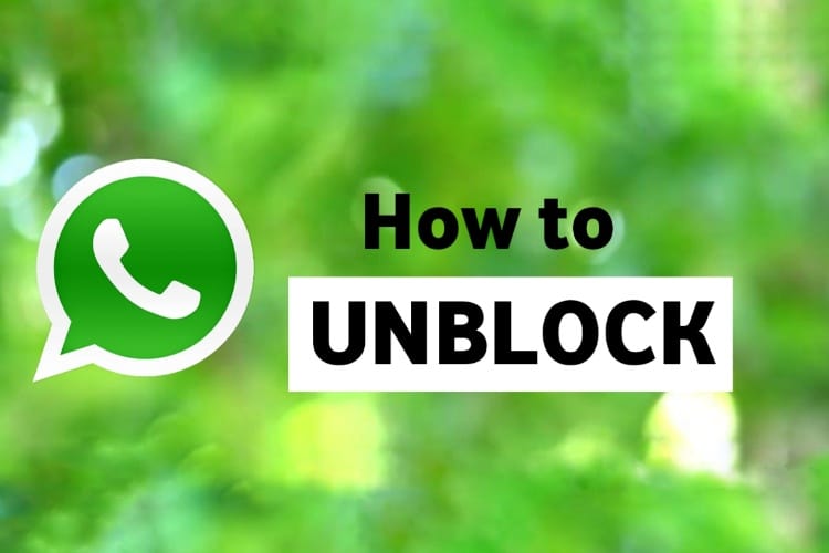 How to unblock someone on WhatsApp