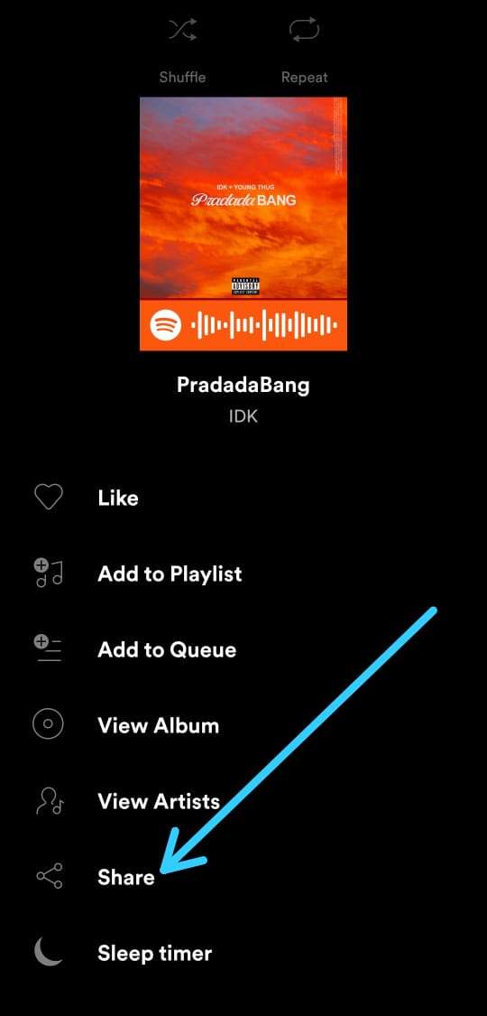 how to view spotify only you story